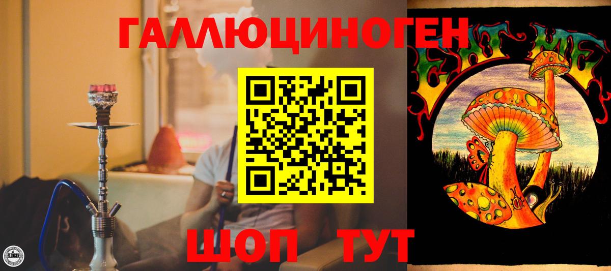 Псилоцибиновые грибы ЛСД Ставрополь