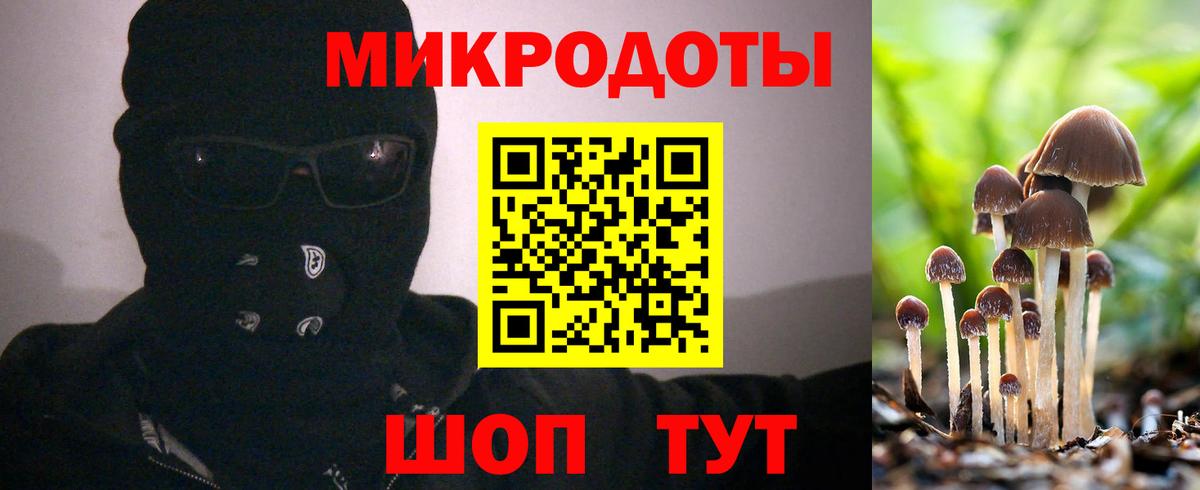 Псилоцибиновые грибы GOLDEN TEACHER  Вход с VPN  Ставрополь  Галлюциногенные грибы Psilocybe 