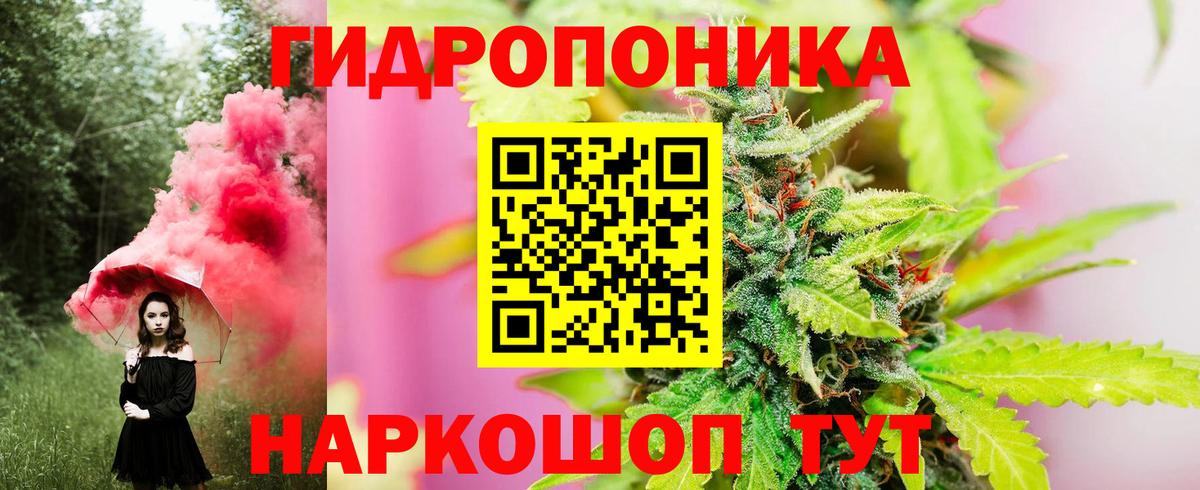 Ставрополь  Канабис сатива  Вход с VPN  Марихуана MAZAR  Канабис ГИДРОПОН 